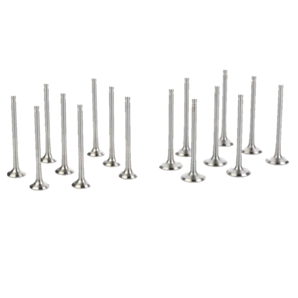 Engine Valve